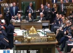 国产自啪啪,探索国产影视作品的独特魅力