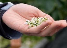 亚洲 国产 熟,国产熟品鉴之旅